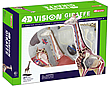 Конструктор 4D VISION "Анатомическая Модель-Жираф"