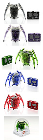 Hexbug «Паук» (1 шт.)
