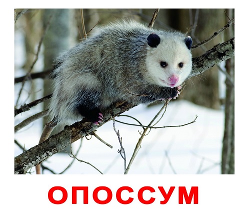 МБДОУ 20 Кристаллик г.Ессентуки Красивые и трогательные стихи к 9 мая на День Победы